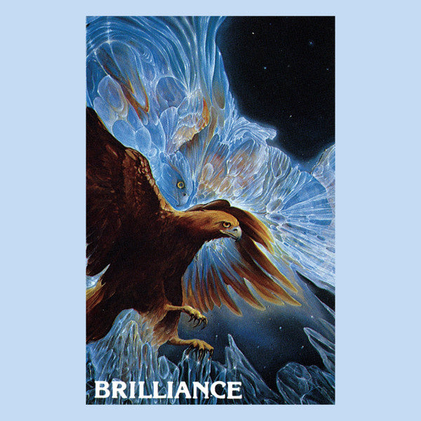 William Wichman & Suzanne Doucet – Brilliance - LP - Dark Entries – DE-250-LP5
